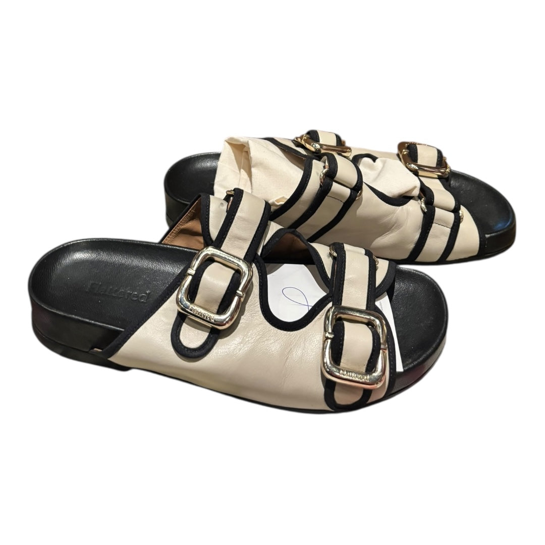 Flattered Black Shoes, 41